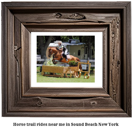 horse trail rides near me in Sound Beach, New York